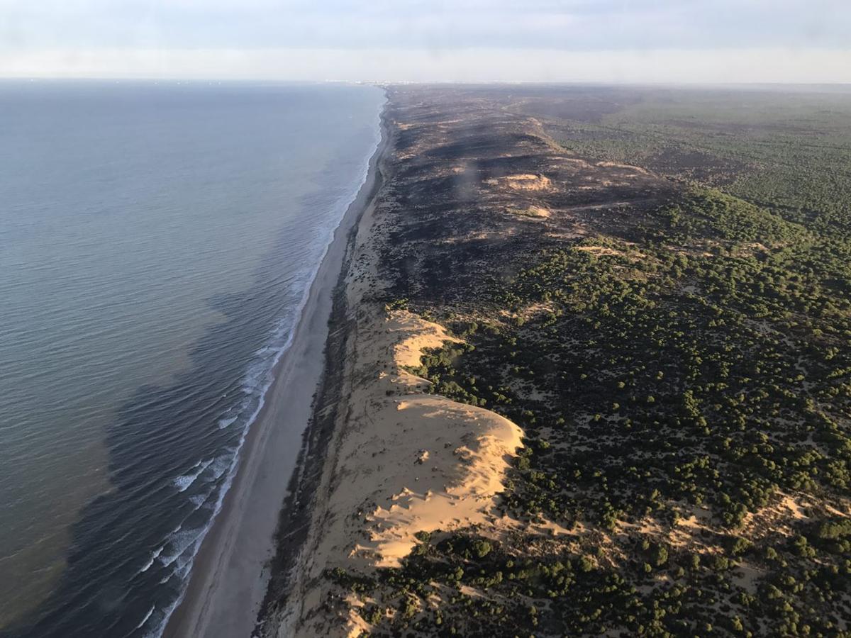 Doñana, un año después del incendio que devastó el entorno del Parque Nacional